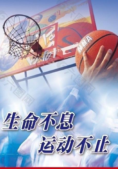 的整体实力