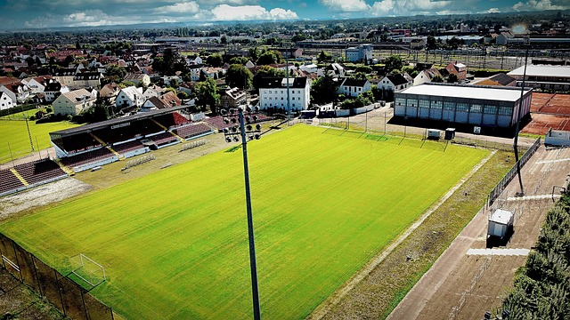 一直是球队 一直是球队