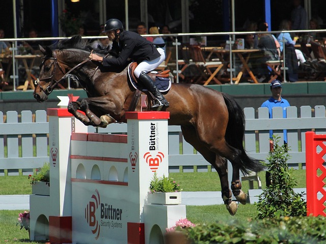 判罰是否更 判罰是否更