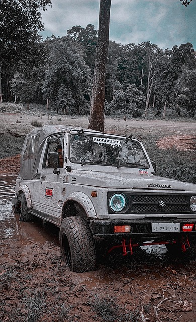 是不可或缺 是不可或缺