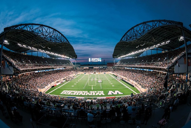 乐趣和挑战 乐趣和挑战