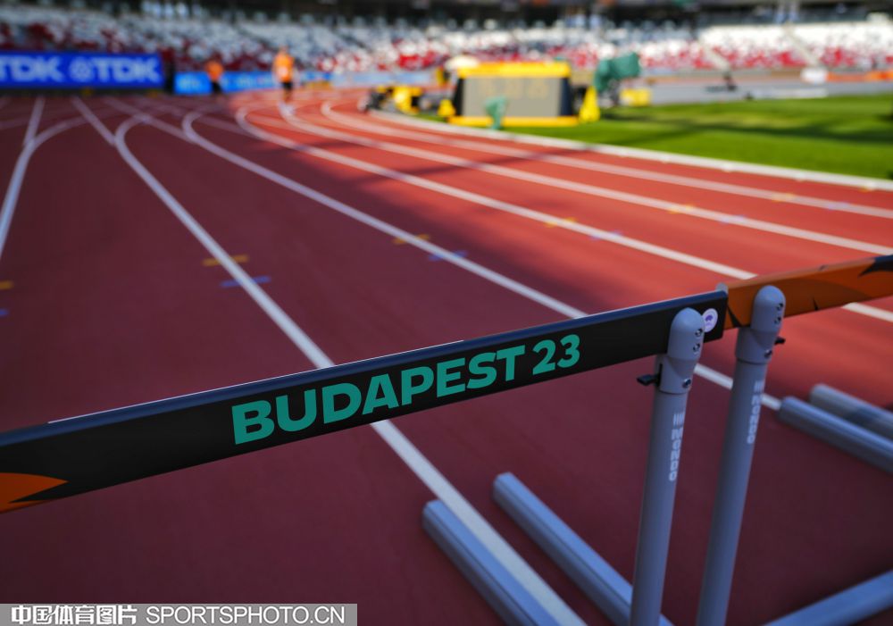 仅是进攻的 仅是进攻的